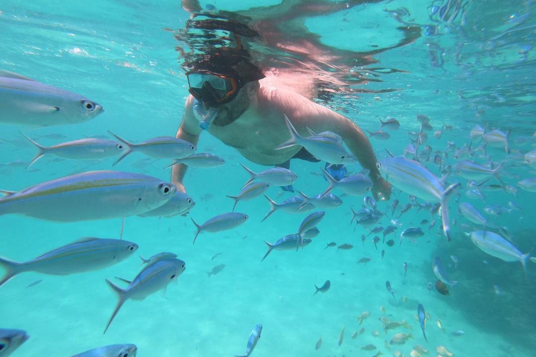 Photo of Human In Picture in Rasdhoo