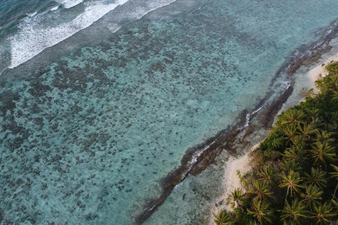 Photo of Others in Fulidhoo