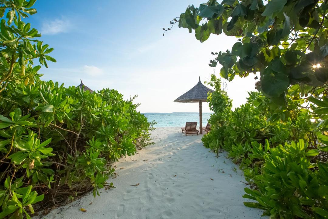 Photo of Others in Filaidhoo