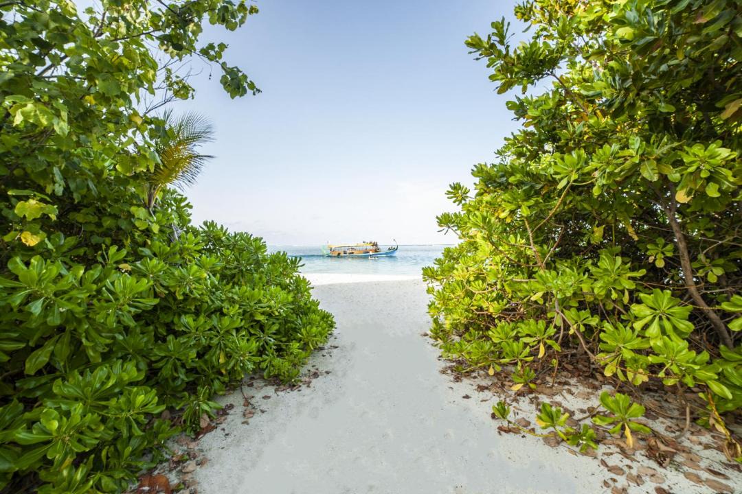 Photo of Others in Dhiffushi