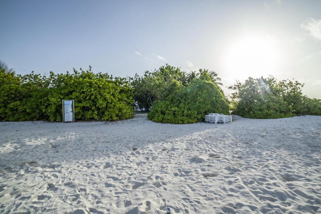 Photo of Others in Dhiffushi