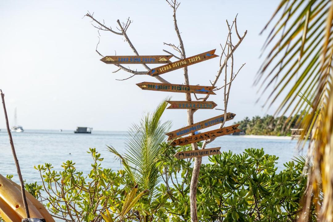 Photo of Others in Dhiffushi