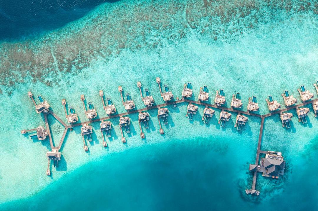 Photo of Others in Rinbudhoo