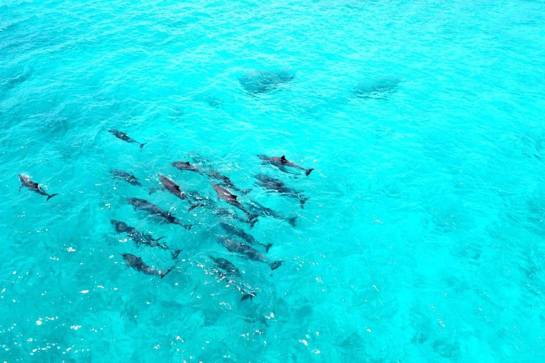 Photo of Others in Dhigurah
