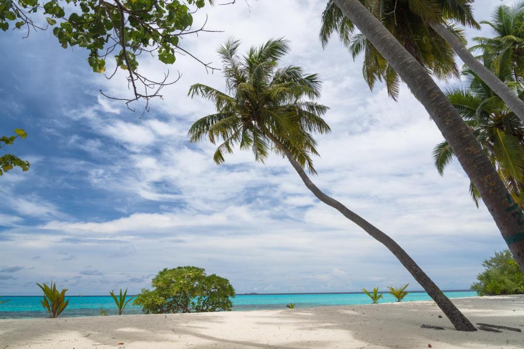 Photo of Others in Dhigurah