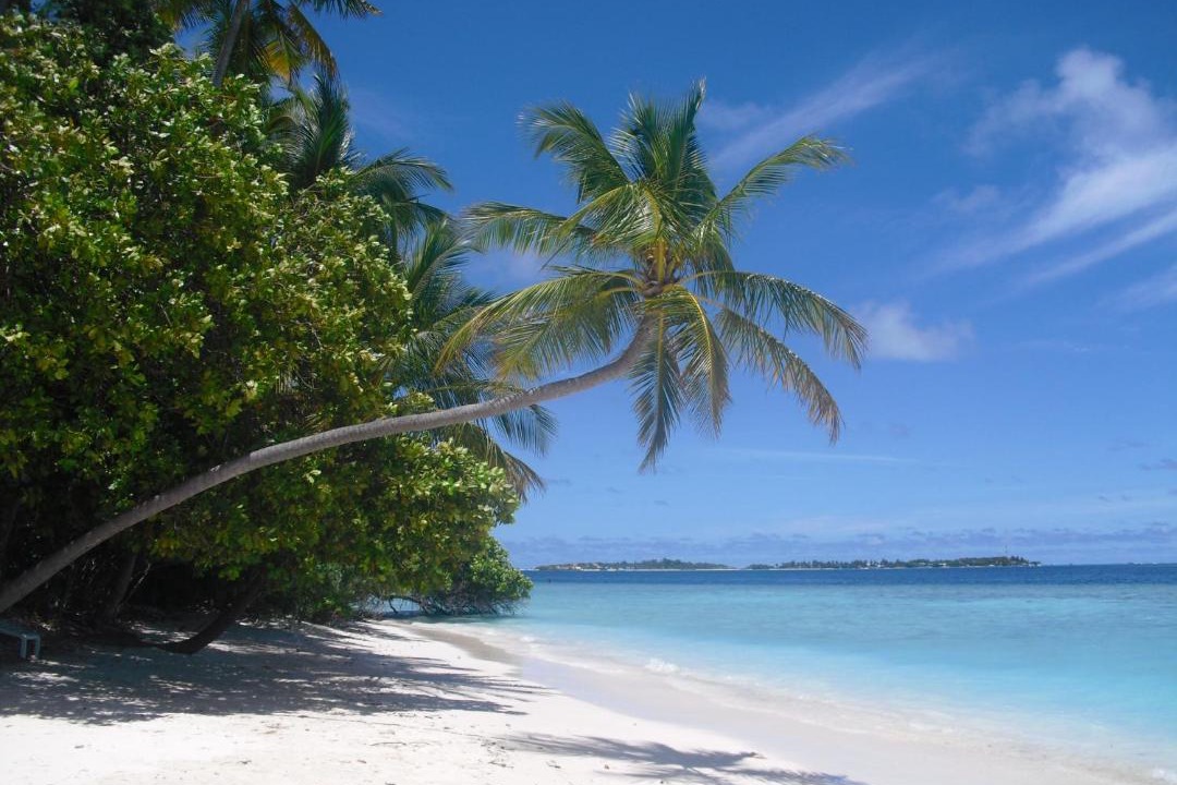 Photo of Others in Maafushi