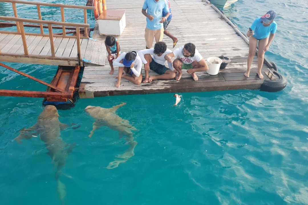 Photo of Others in Bodufolhudhoo