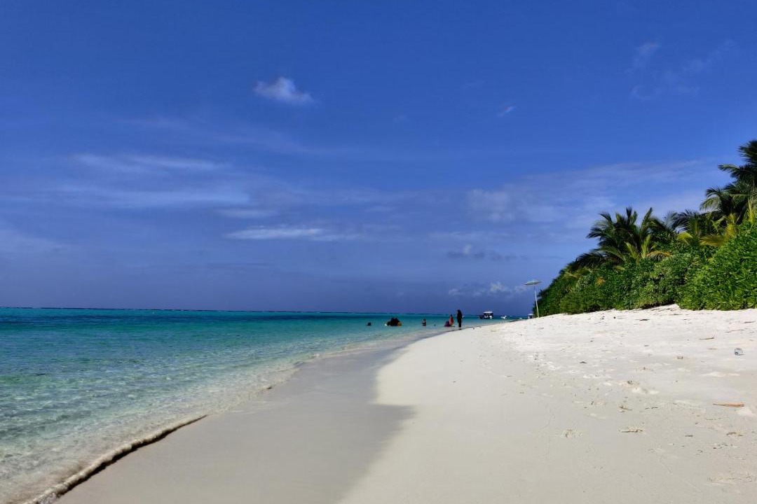 Photo of Others in Thoddoo