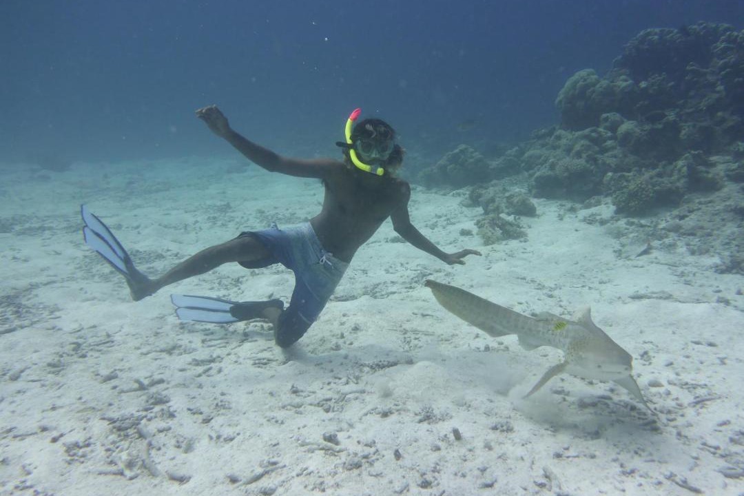 Photo of Others in Ukulhas