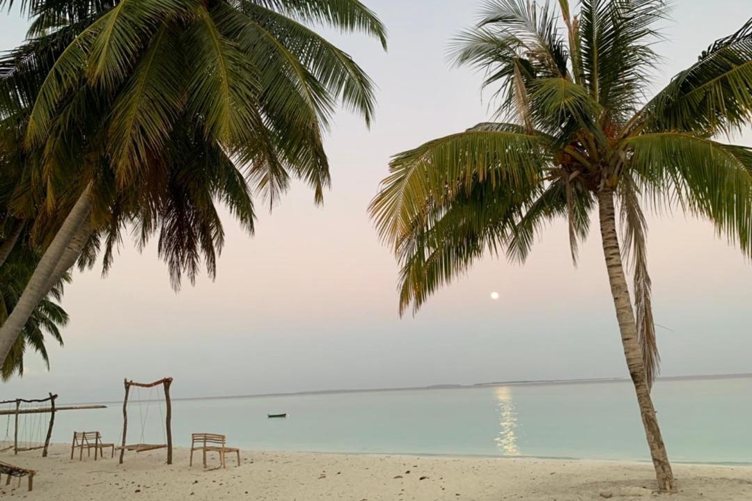 Photo of Others in Hanimaadhoo