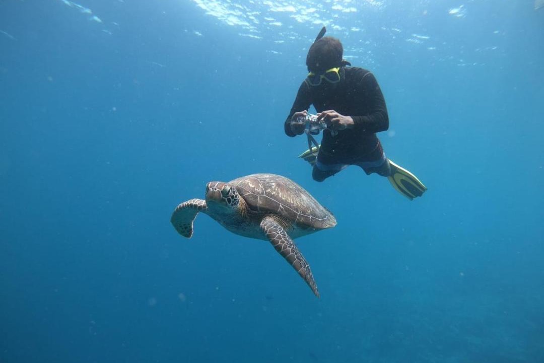 Photo of Human In Picture in Omadhoo