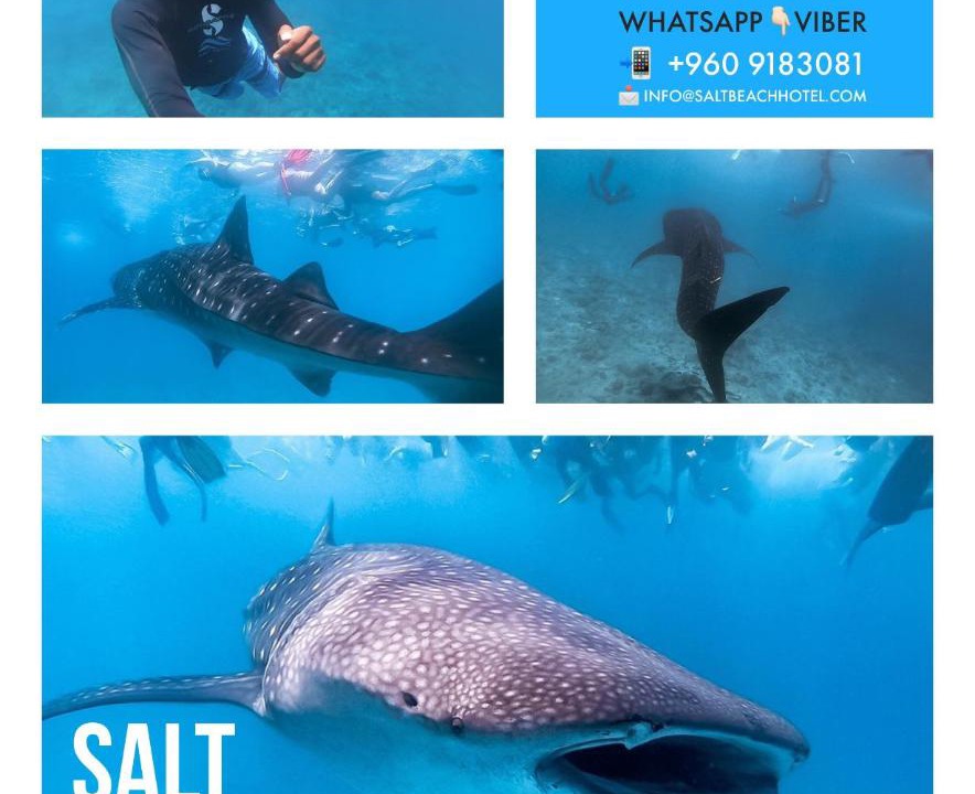 Photo of Others in Maafushi
