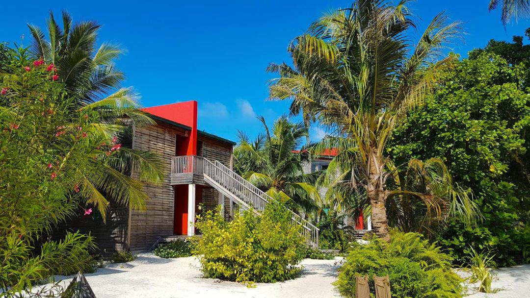 Photo of Others in Hanimaadhoo