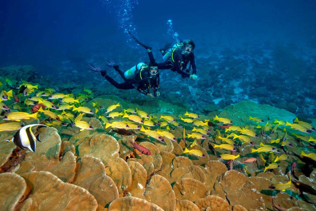 Photo of Others in Ukulhas