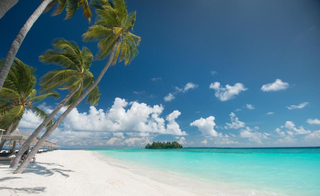 Photo of Others in Veligandu Island