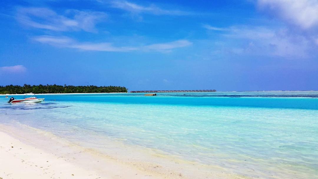 Photo of Others in Dhiffushi