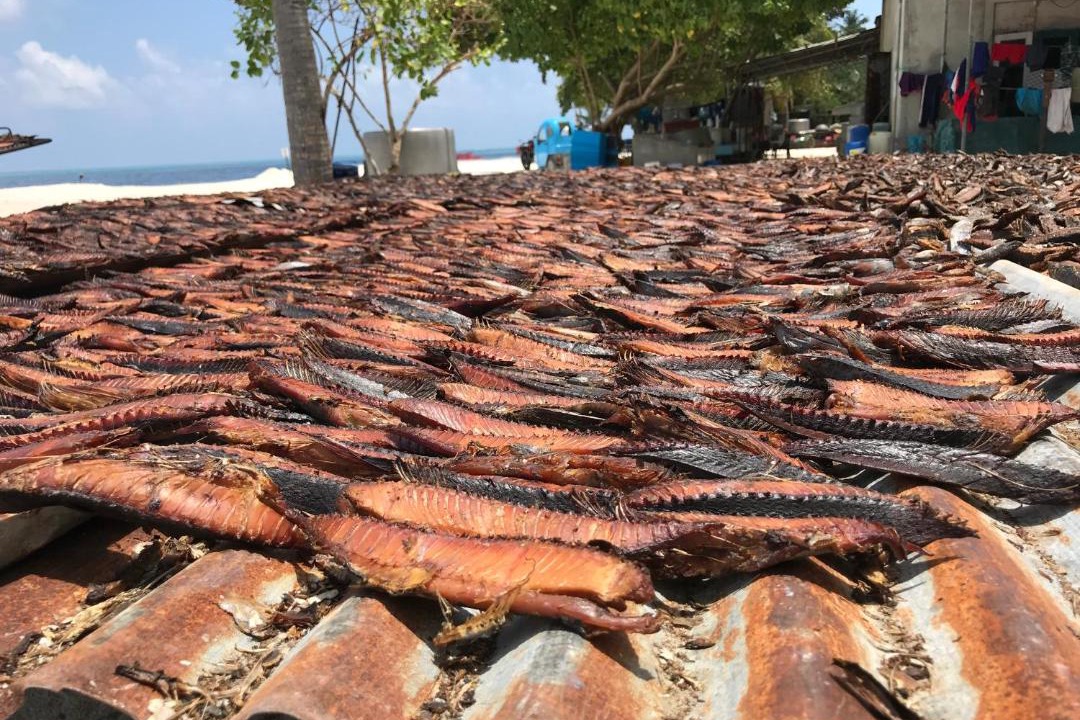 Photo of Others in Huraa