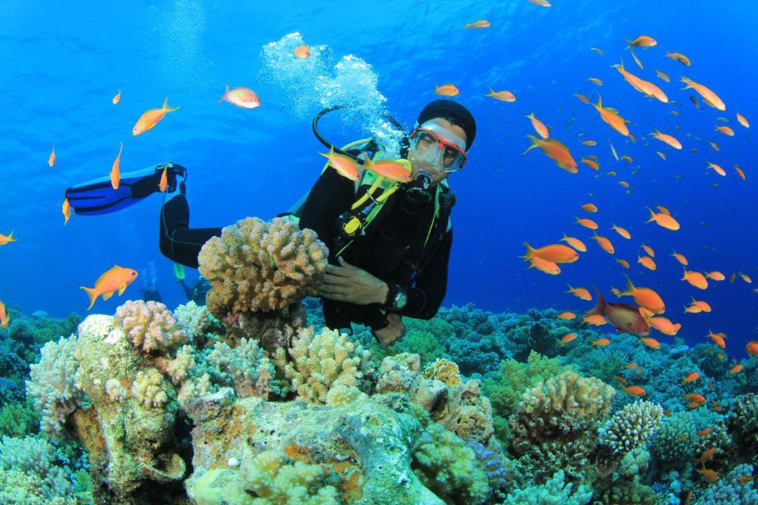 Photo of Others in Hulhumale