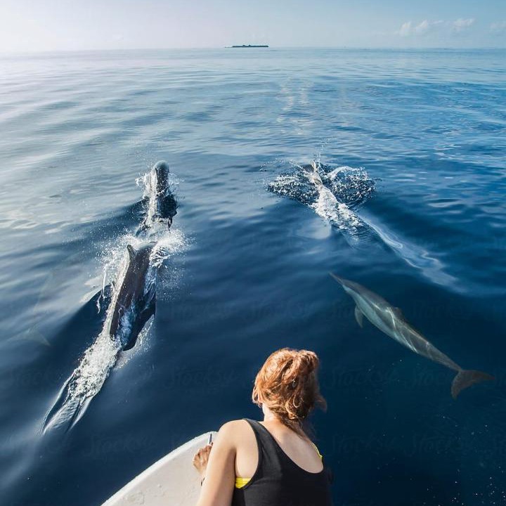 Photo of Others in Ukulhas