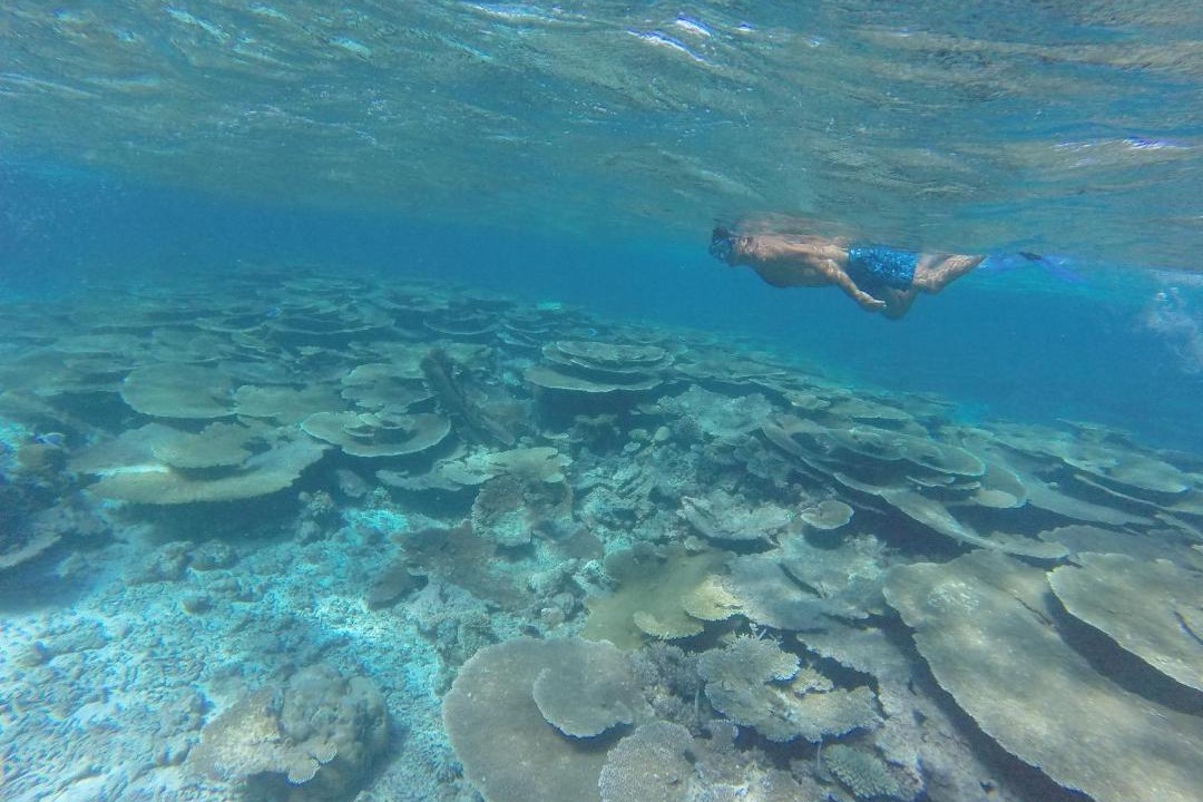 Photo of Others in Ukulhas