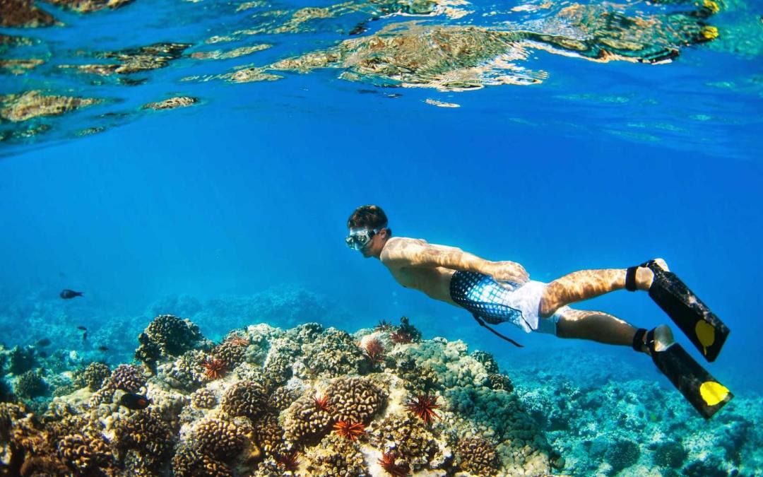 Photo of Others in Ukulhas