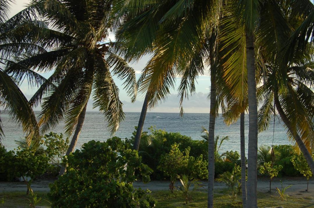 Photo of Others in Felidhoo