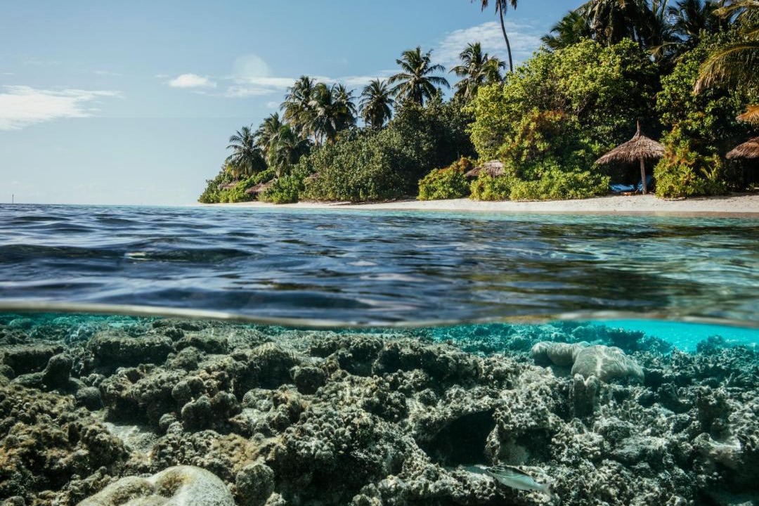 Photo of Others in Funamadua