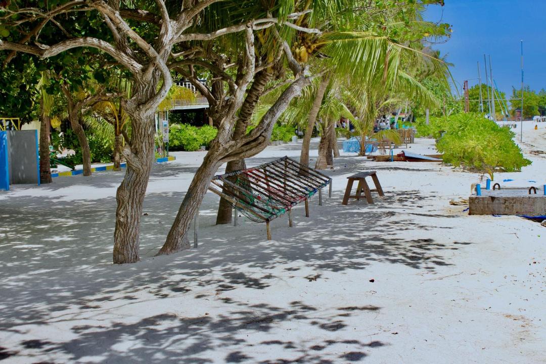 Photo of Others in Maafushi
