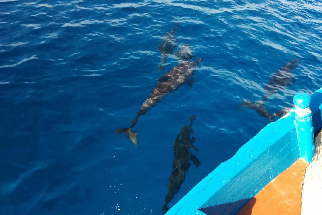 Photo of Others in Felidhoo