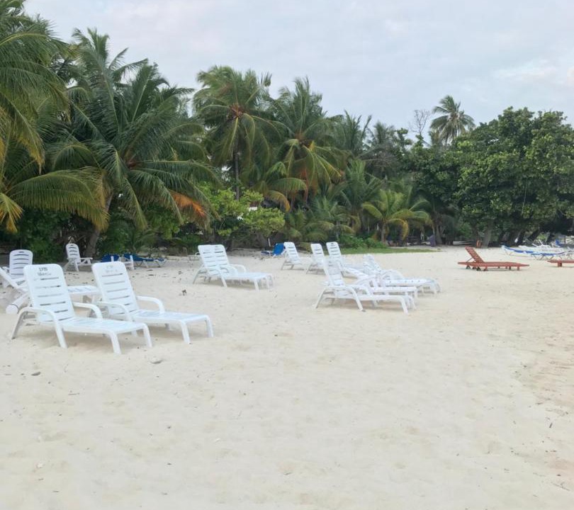 Photo of Others in Dharavandhoo
