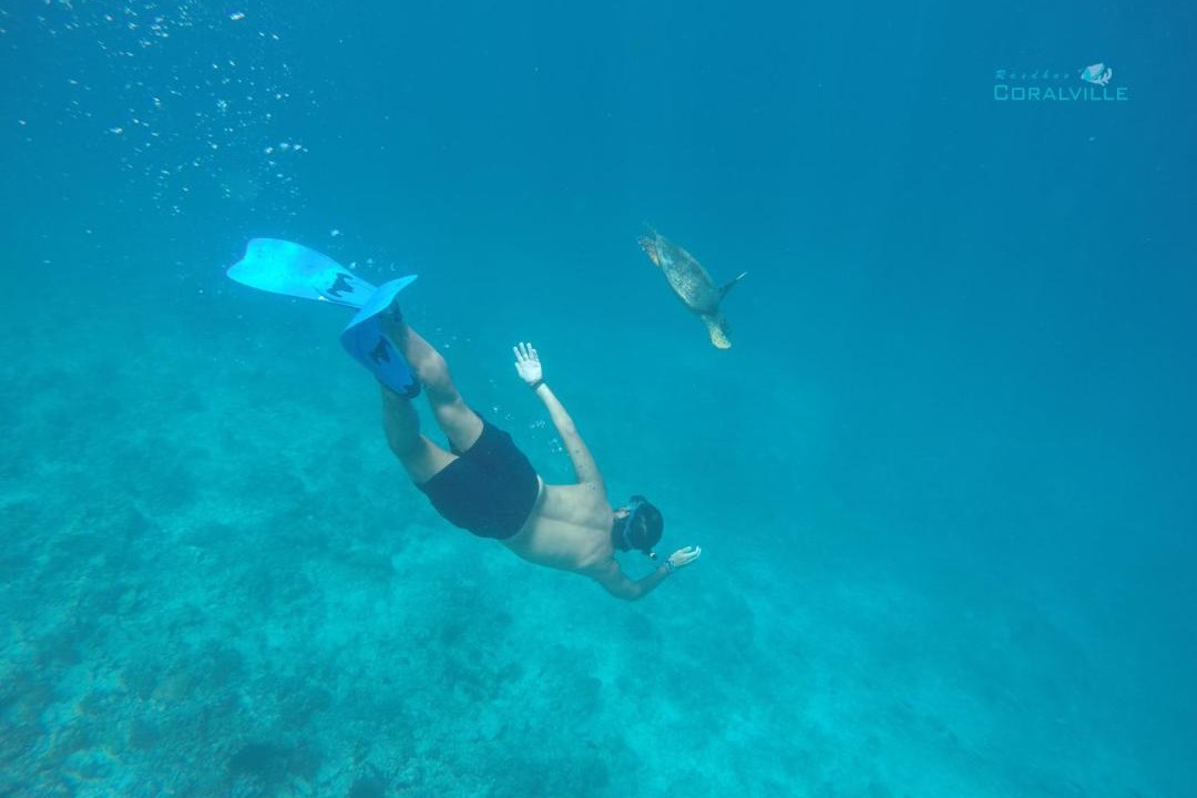 Photo of Others in Rasdhoo
