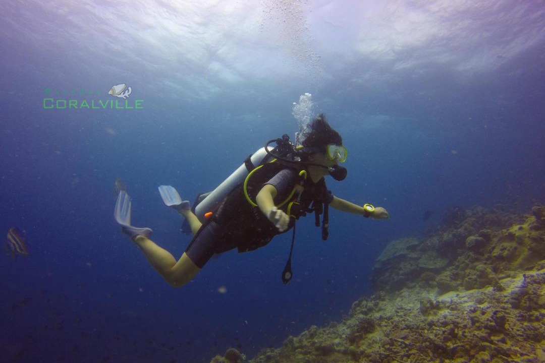 Photo of Others in Rasdhoo