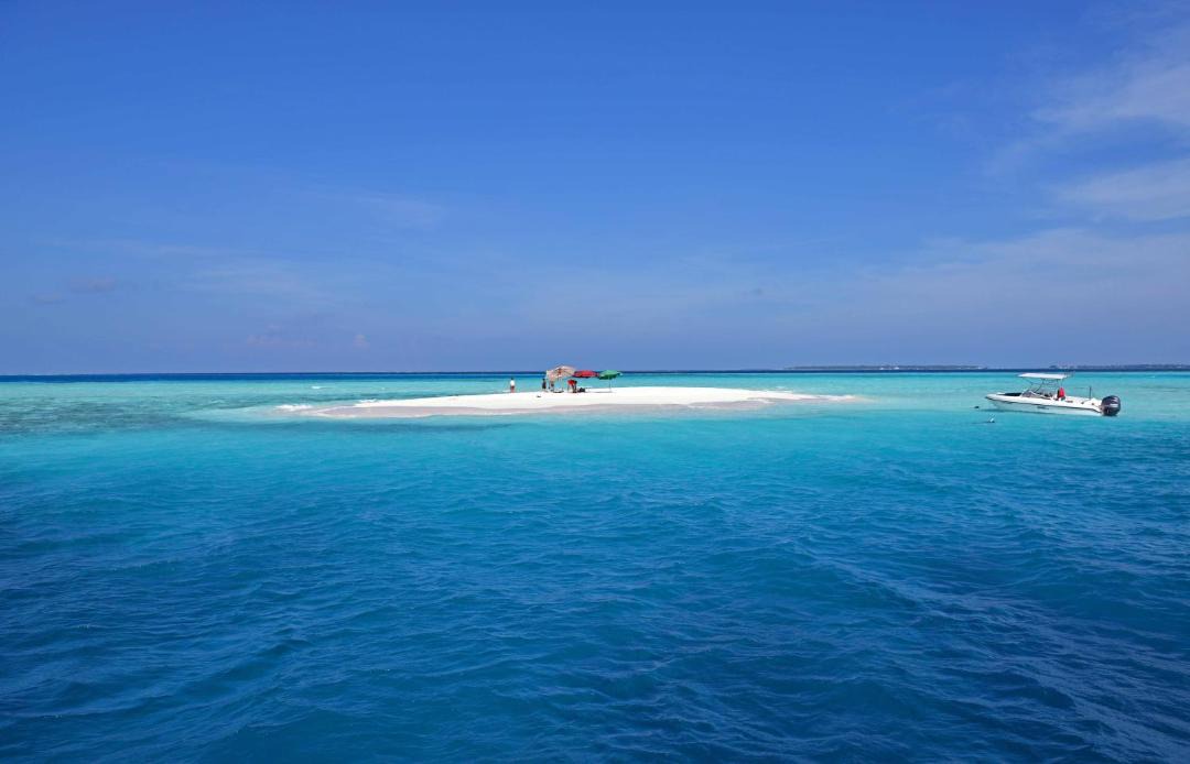 Photo of Others in Dhiffushi