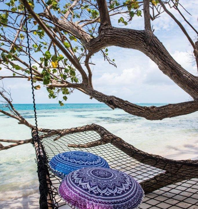 Photo of Others in Dhiffushi