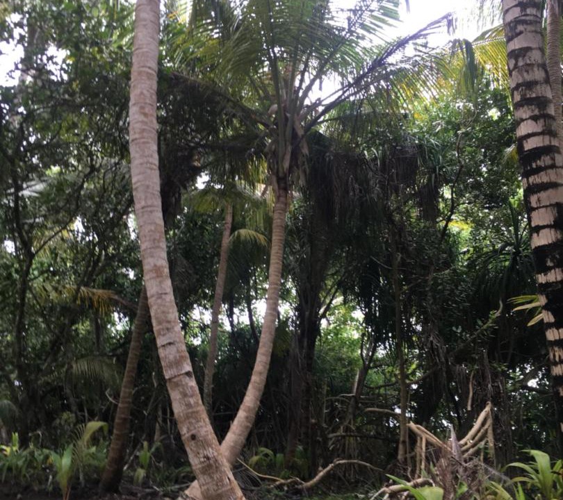 Photo of Outdoor in Thinadhoo
