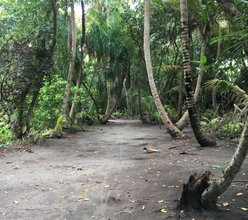 Photo of Outdoor in Thinadhoo