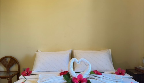 Basic Double Room