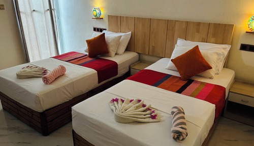 Deluxe Double or Twin Room