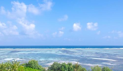 Standard Ocean View