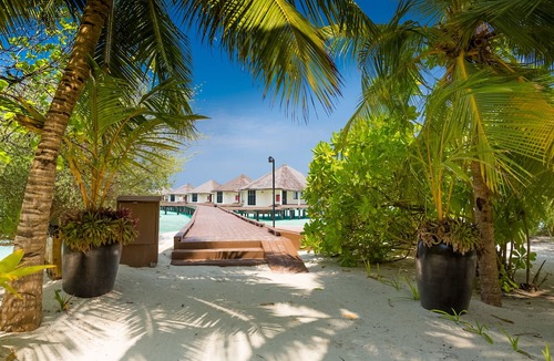 Kihaadhuffaru Island Resort | Kihaa Maldives