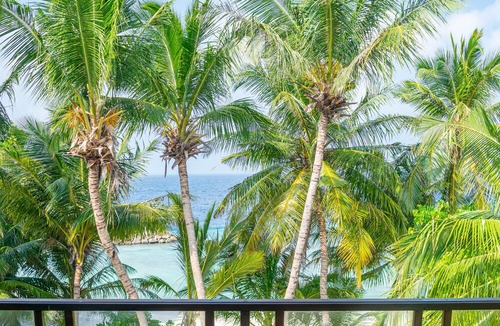 Dharavandhoo House | Luxury and Affordable Beach Holiday in Maldives