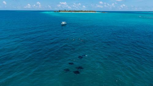 Fushifaru Resort | Fushifaru Maldives