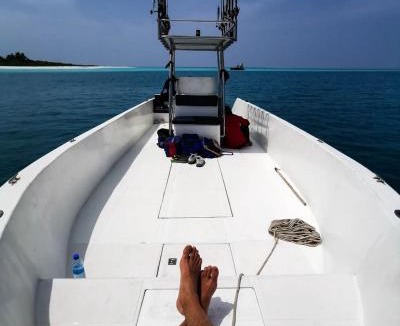Hanimaadhoo House | Tropical Lodge