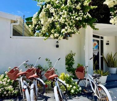 Thoddoo Hotel | Celeste Thoddoo Maldives
