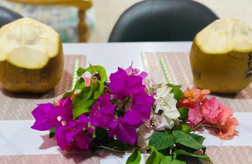 Fuvahmulah House | Violetfehi Homestay