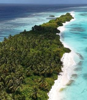 Dhigurah Hotel | Lagoon Dhigurah