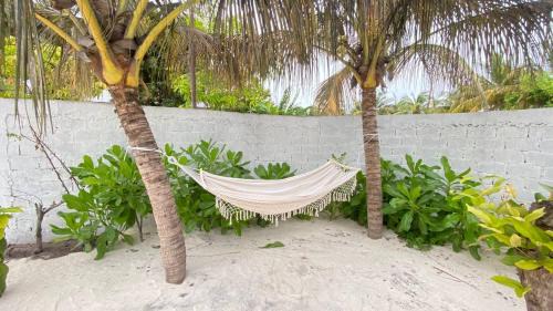 Muli House | EcoWave Retreat- Muli