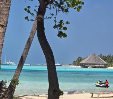 Dhiffushi House | Dhiffushi Reef & Beach