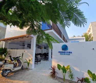 Thoddoo Hotel | Ocean Vida Maldivas