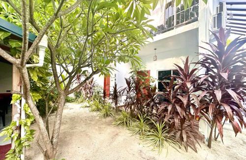 Thoddoo Hotel | Thoddoo Island Life